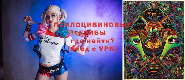 бошки Коряжма
