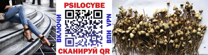 Галлюциногенные грибы Magic Shrooms  Купить где  Кольчугино 